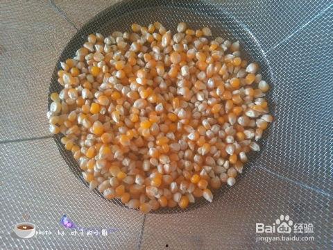 玉米爆米花爆料视频大全,爆笑瞬间！玉米爆米花爆料视频大全集锦  第2张