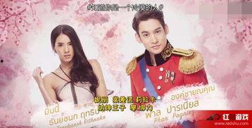 宫泰语版在线观看,穿越时空的浪漫传奇  第3张