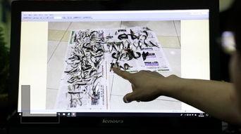 多鱼视频爆料,揭秘娱乐圈幕后真相  第1张