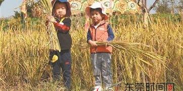 秋天的妈妈最新爆料图片,揭秘秋天妈妈的时尚穿搭与生活点滴 第2张 秋天的妈妈最新爆料图片,揭秘秋天妈妈的时尚穿搭与生活点滴 第2张