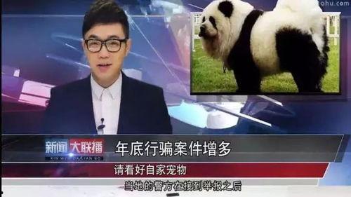 大鹏最新爆料新闻,揭秘娱乐圈幕后真相  第2张